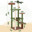 PET-CAT-L152-CT-GNBR-01.jpg