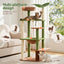 PET-CAT-L152-CT-GNBR-03.jpg