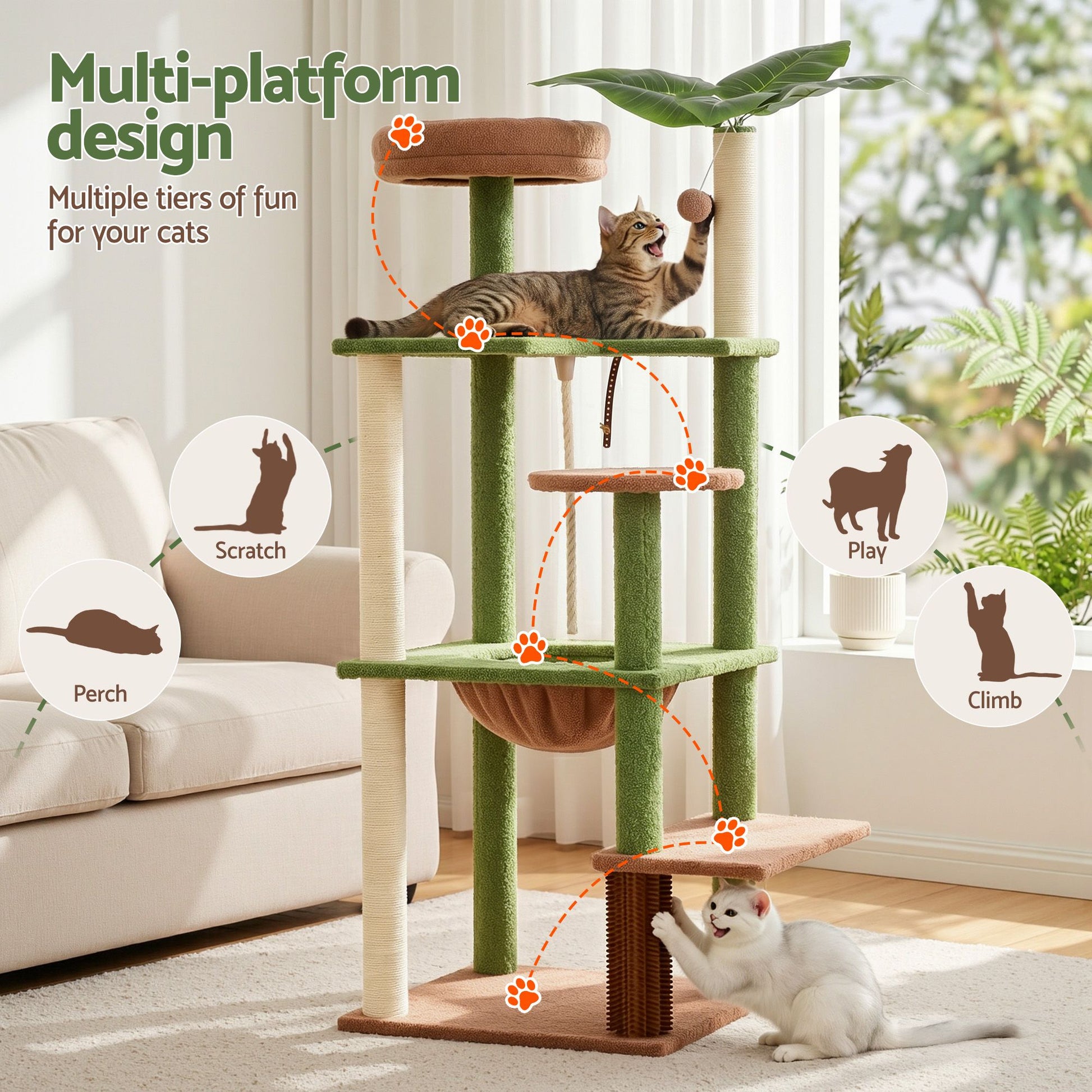 PET-CAT-L152-CT-GNBR-03.jpg