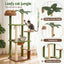 PET-CAT-L152-CT-GNBR-04.jpg