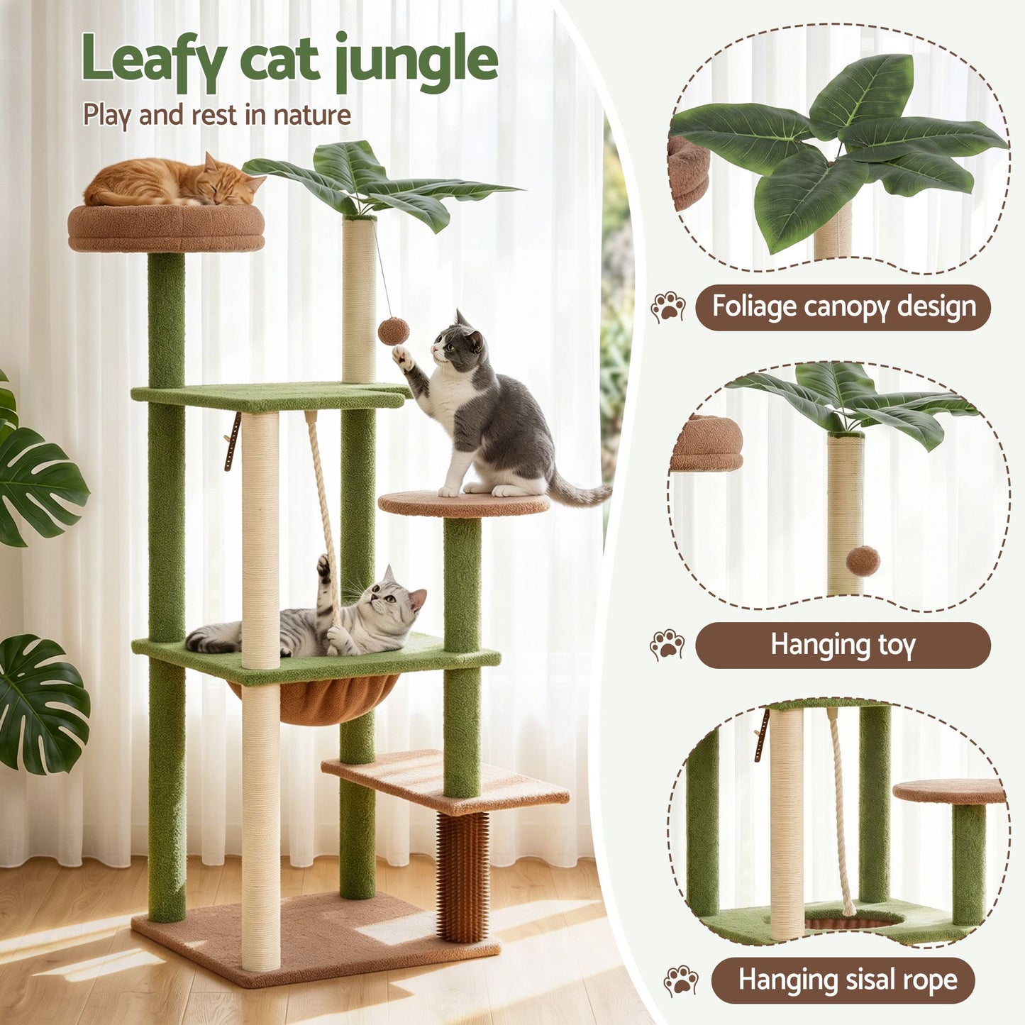 PET-CAT-L152-CT-GNBR-04.jpg