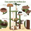 PET-CAT-L152-CT-GNBR-05.jpg