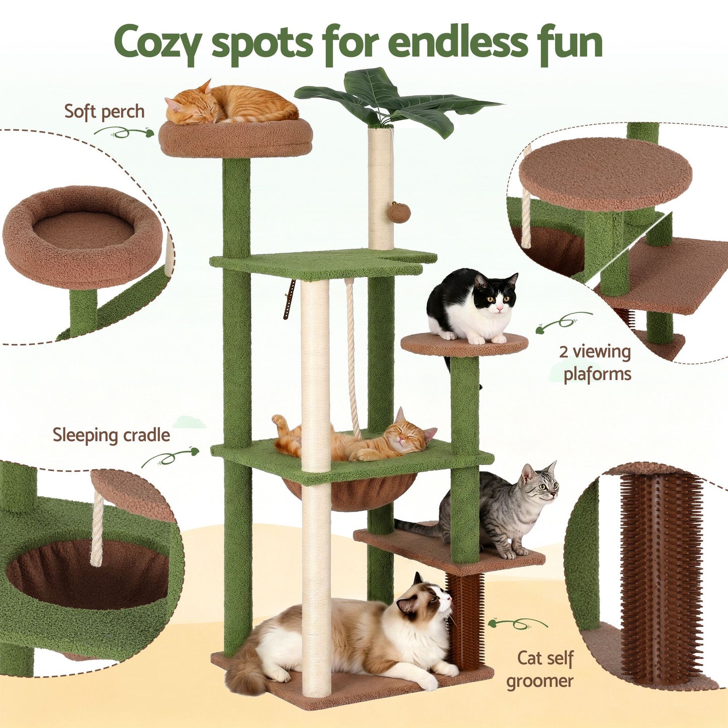 PET-CAT-L152-CT-GNBR-05.jpg