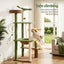 PET-CAT-L152-CT-GNBR-06.jpg