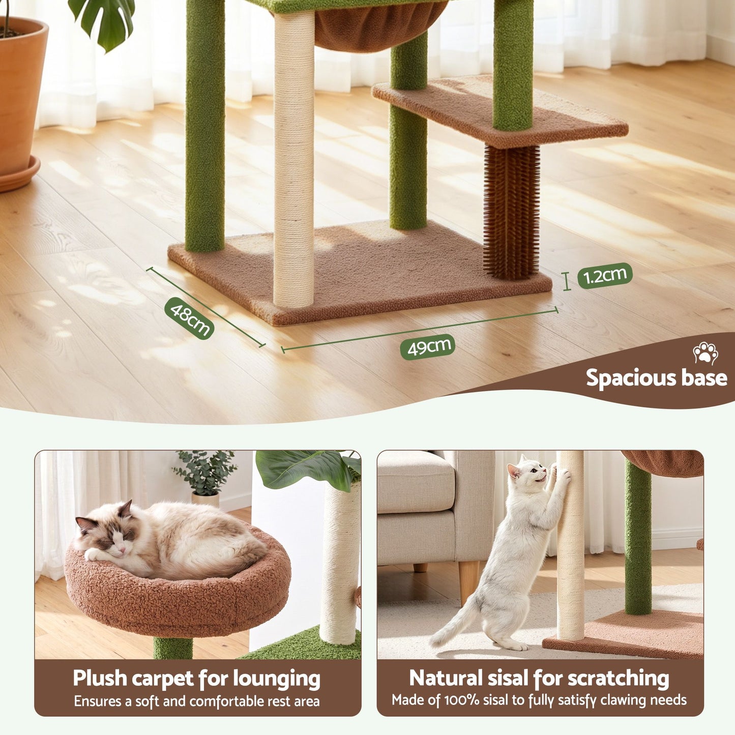PET-CAT-L152-CT-GNBR-07.jpg