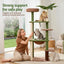 PET-CAT-L152-CT-GNBR-08.jpg
