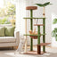 PET-CAT-L152-CT-GNBR-09.jpg