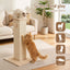 PET-CAT-PO-L-BE-03.jpg