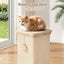 PET-CAT-PO-L-BE-04.jpg