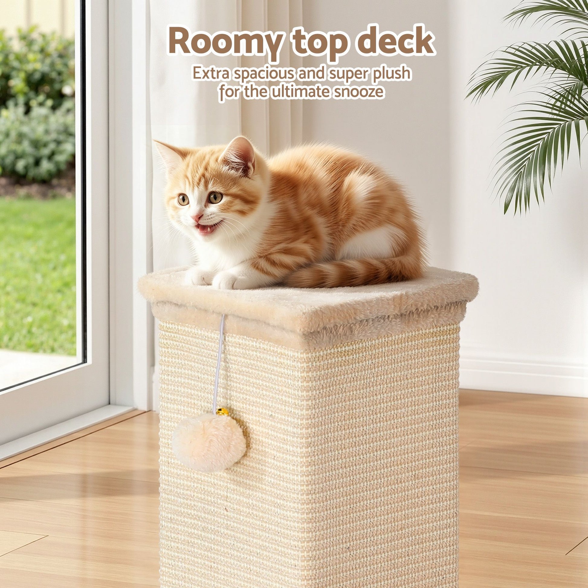 PET-CAT-PO-L-BE-04.jpg