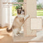 PET-CAT-PO-L-BE-06.jpg
