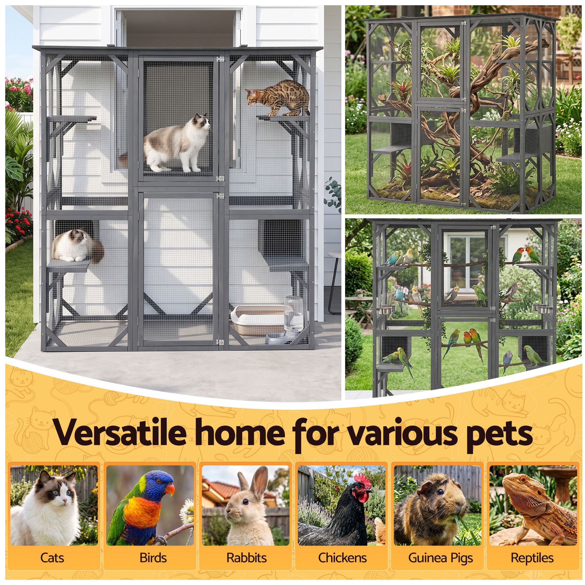 PET-CH-180X180-GR-ABC-08.jpg