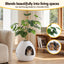 PET-CLB-PLANT-WH-04.jpg