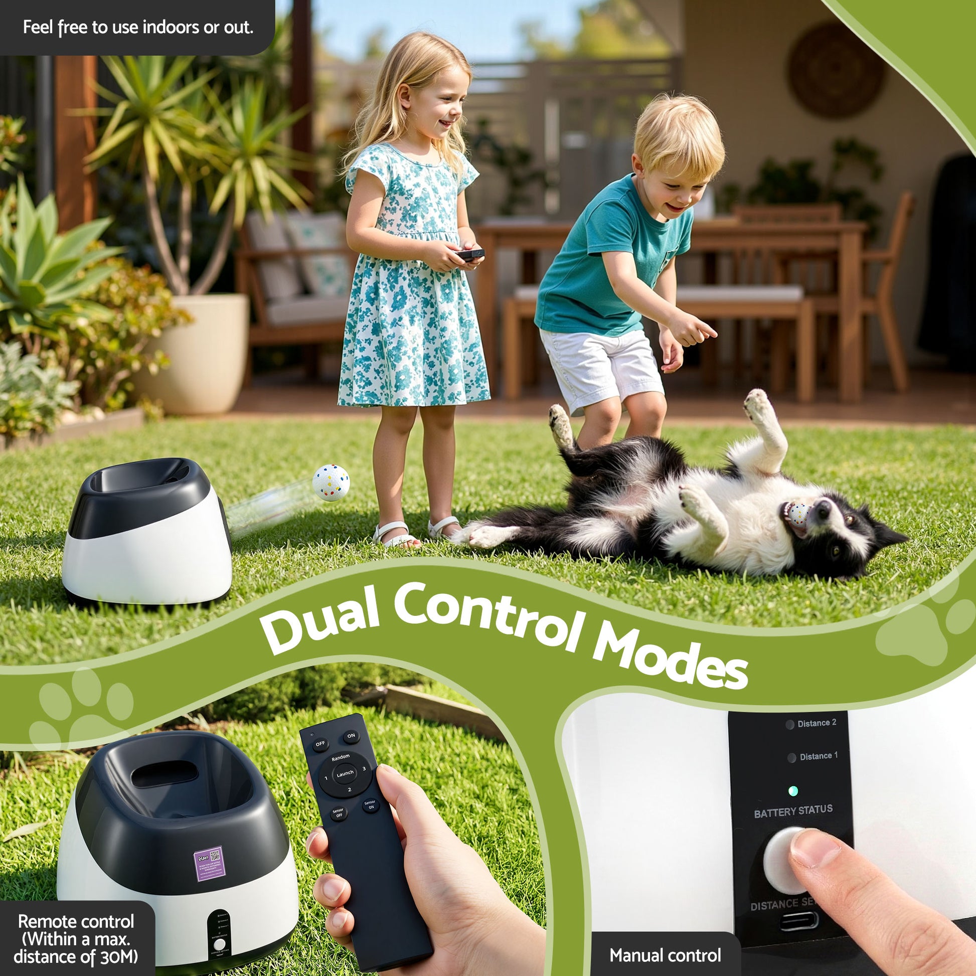 PET-DOG-6BALL-22M-GR-202603181836-04.jpg