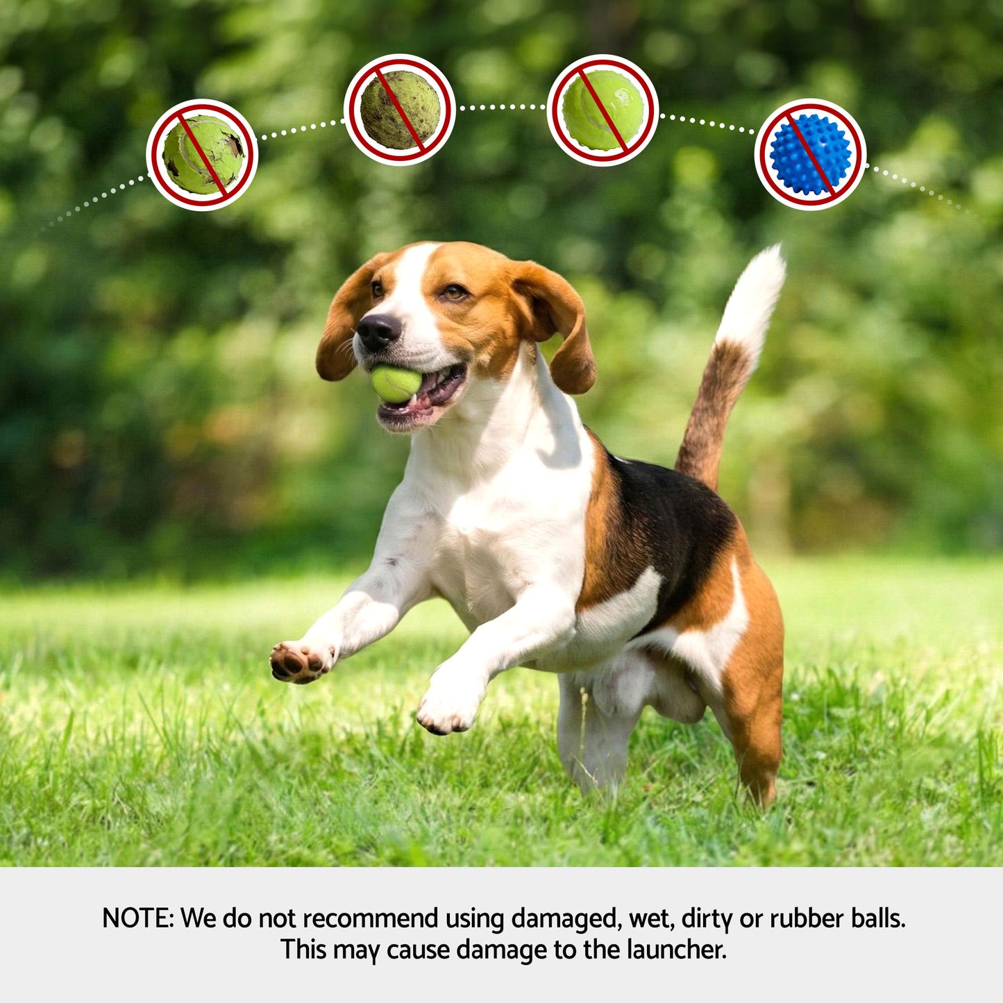 PET-DOG-6BALL-9M-GN-202603181836-07.jpg