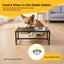 PET-FEEDER-STAND-4H-06.jpg