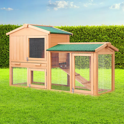 PET-GT-WOOD-R036-202502281812-00.jpg