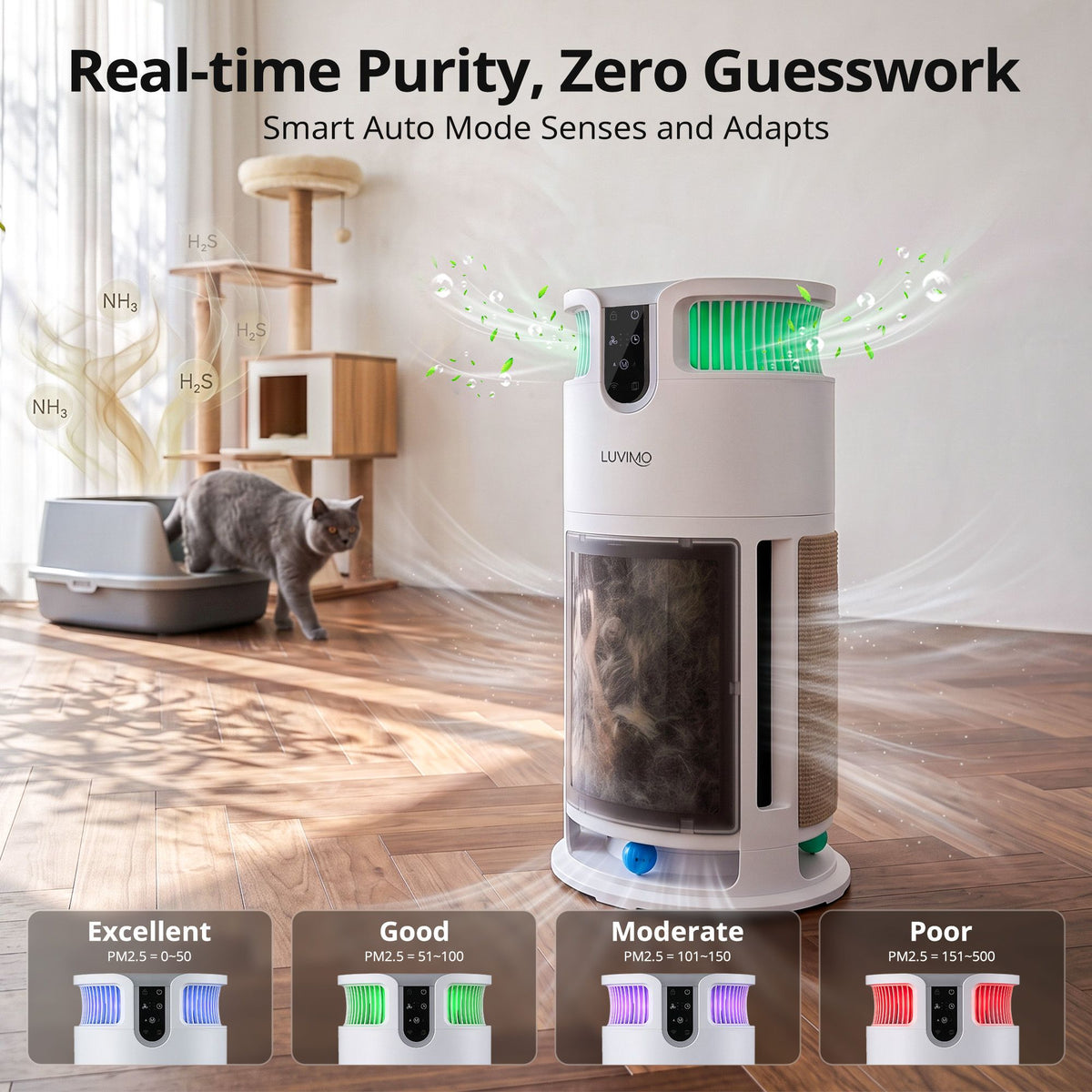 PET-PURI-SCRATCH01-WH-04.jpg