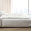 PILLOW-BODY-WH-202502281434-00.jpg