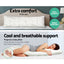 PILLOW-BODY-WH-202502281434-02.jpg