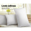 PILLOW-DFD-X2-202502281434-04.jpg