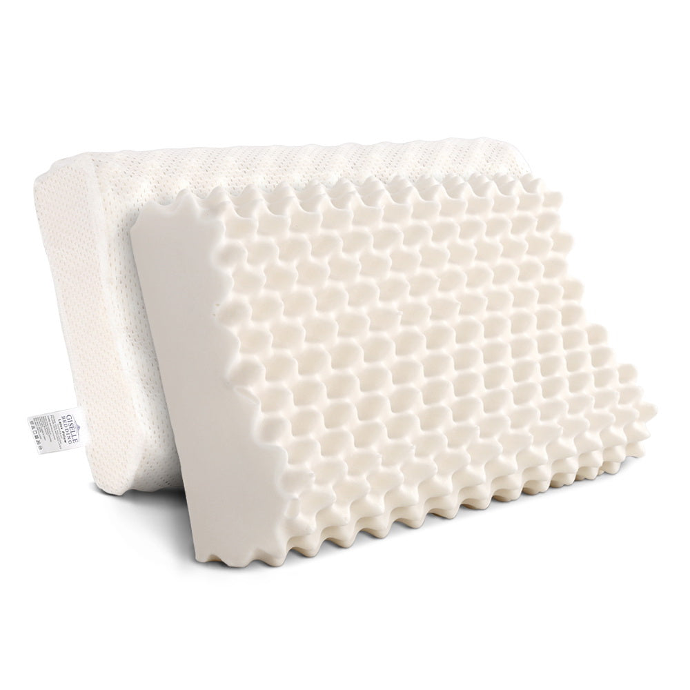 PILLOW-LT-EC-X2-202502281436-07.jpg