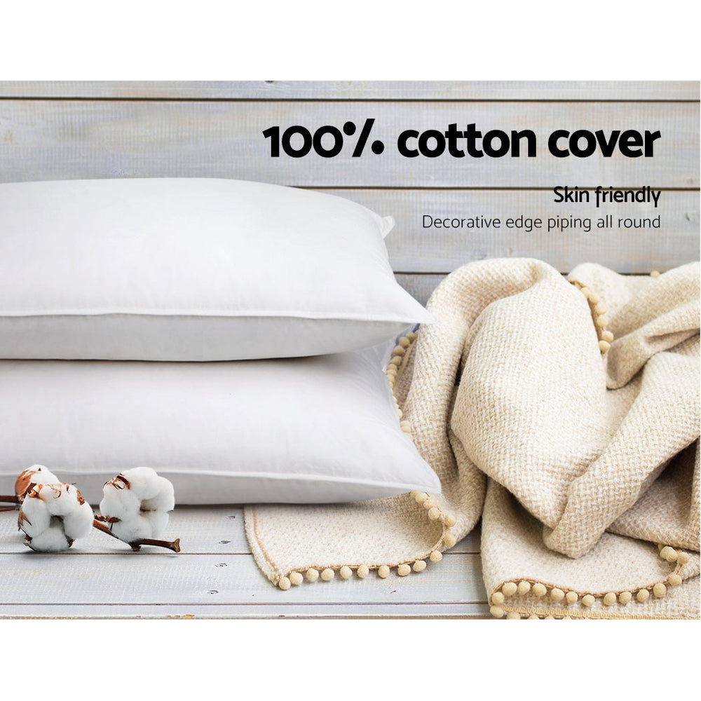 PILLOW-MICRO-2M2F-K-202502281438-05.jpg