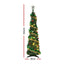 PUT-XMAS-5IN-2-01.jpg