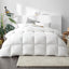 QUILT-DFD-700-Q-202502281410-00.jpg