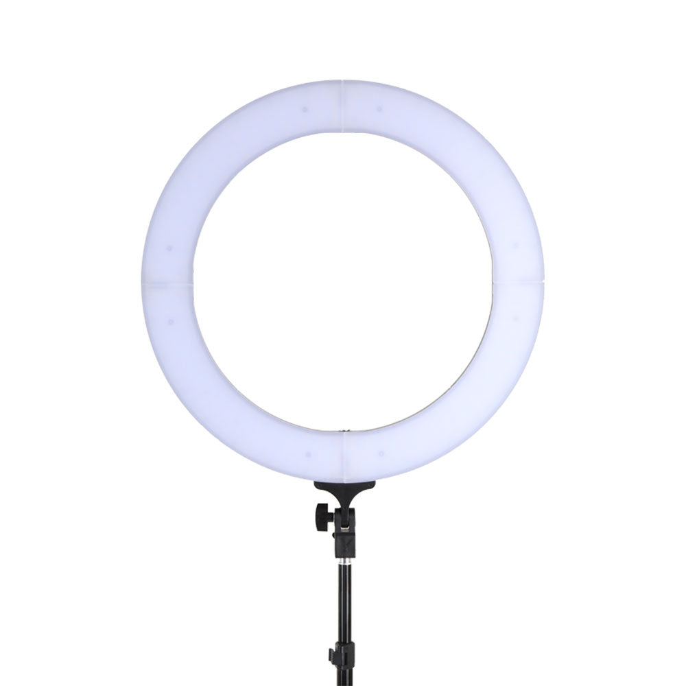 RL-FL-006-BK-LV-02.jpg
