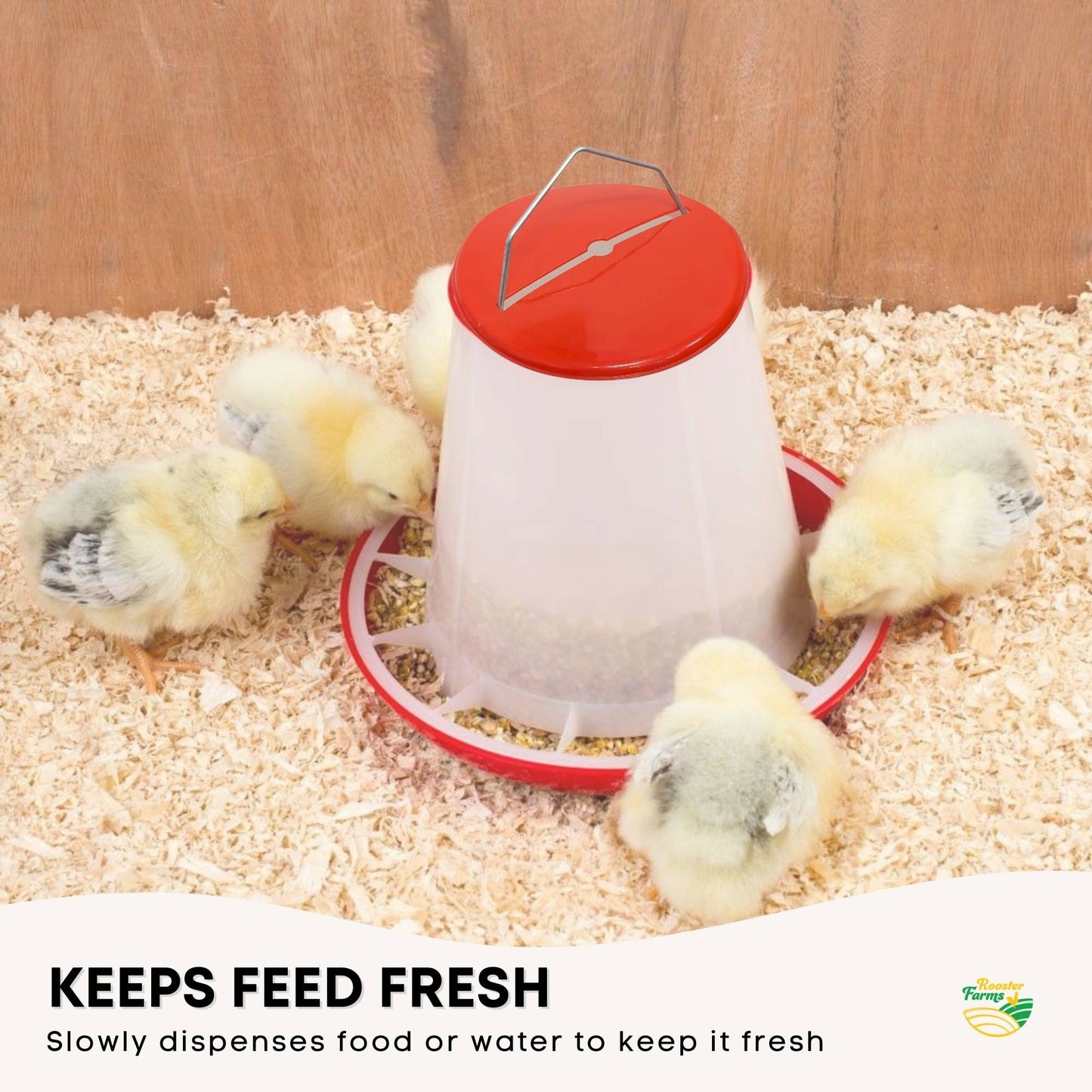 Rooster Farms 3Kg Automatic Chicken Feeder - Poultry Hen Feeding Seed Bucket