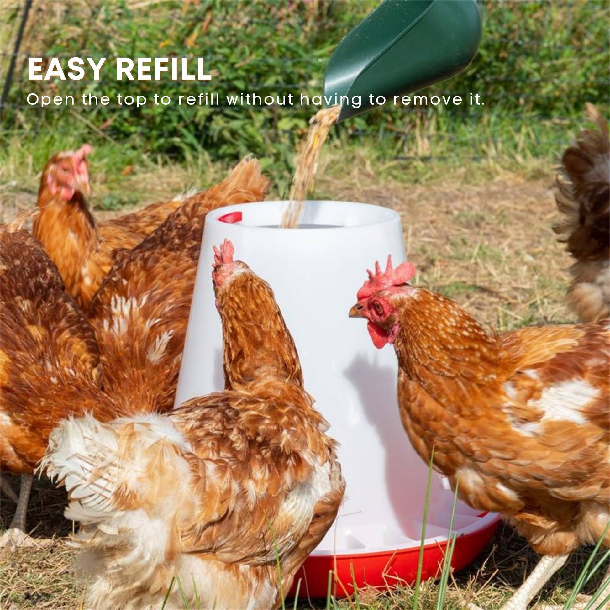 Rooster Farms 9Kg Automatic Chicken Feeder - Poultry Hen Feeding Seed Bucket