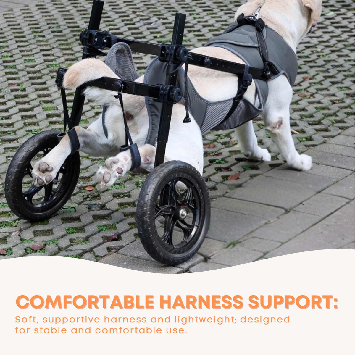 Rooster Farms Large Dog Wheelchair XL Harness - Adjustable Back Leg Aid