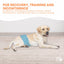 Rooster Farms Male Dog Diapers Medium 3Pk - Washable Reusable Nappies Hook/Loop