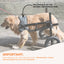 Rooster Farms Replacement Harness for Dog Wheelchair XL - Large Dogs Up to 45Kg