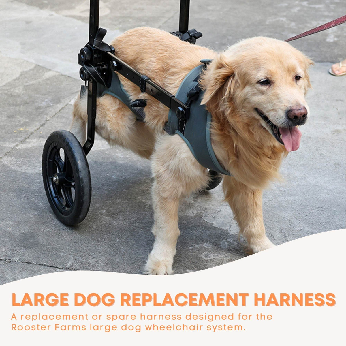 Rooster Farms Replacement Harness for Dog Wheelchair XXL - Large Up to 45Kg