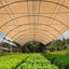SH-CL-183X200-195-BE-202502281916-06.jpg