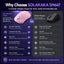 SOLAKAKA Silent Wireless Mouse Bluetooth 2.4GHz 4200 DPI 7 Buttons
