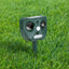 SR-SNAKE-SD-1-GN-189908-06.jpg