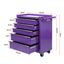 TB-5DR-ROLL-PUR-02.jpg