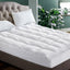 TOPPER-PT-K-202502281430-00.jpg