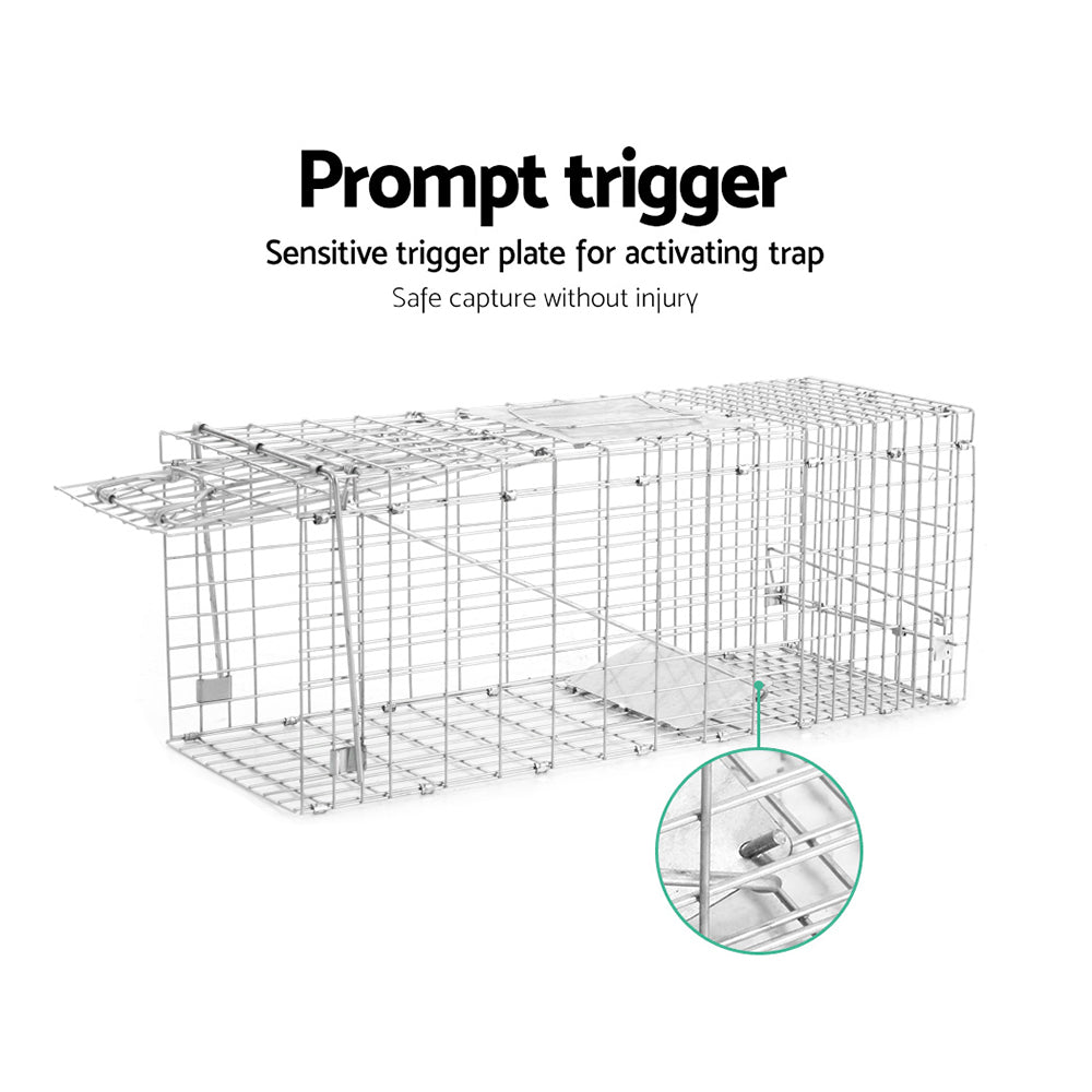 TRAP-CAGE-6623-04.jpg
