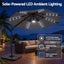 UMB-ROMA-L-BASE-50N-CO-04.jpg