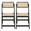 Artiss 2x Dining Chairs Wooden Rattan Foldable Black