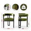 Artiss Dining Chairs Set of 2 Velvet Upholstered Barrel Chairs with Curved Armrests & Back Green