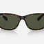 Unisex Ray Ban Sunglasses Rb4388 Polished Havana/ Green Sunnies - L