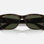 Unisex Ray Ban Sunglasses Rb4388 Polished Havana/ Green Sunnies - L