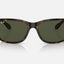 Unisex Ray Ban Sunglasses Rb4388 Polished Havana/ Green Sunnies - M