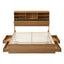 WBED-F-TAMBUR-D-WOOD-ABC-01.jpg