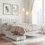 WBED-G-001KS-WH-DRAW-00.jpg